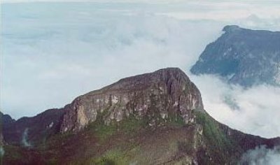 Naionalpark Pico da Neblina Brasilien / Venezuela